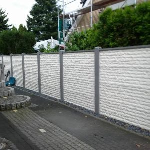 დეკორატიული ევრო ღობე ფილა  200x50მ