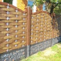 WhatsApp Image 2025-09-15 at 7.29.03 PM (1)